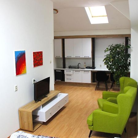 Krasny Priestranny Slnecny Apartman V Centre Mesta Trenčín Eksteriør billede